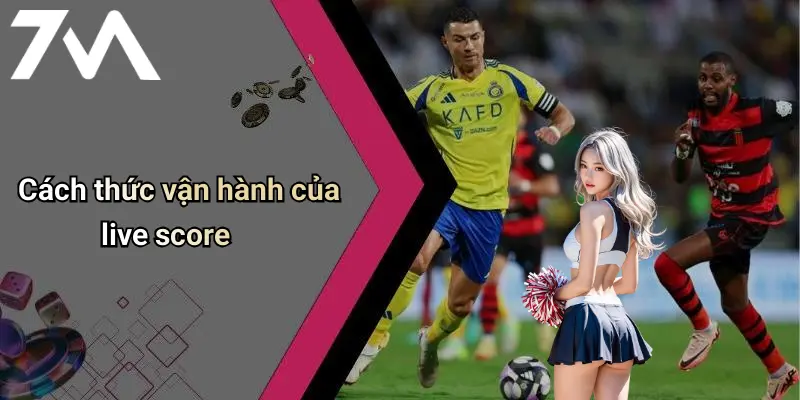 Cách thức vận hành của live score