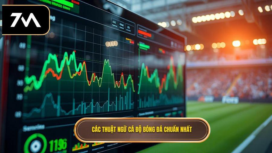 3. Các thuật ngữ cá độ bóng đá chuẩn nhất Các thuật ngữ cá độ bóng đá chuẩn nhất